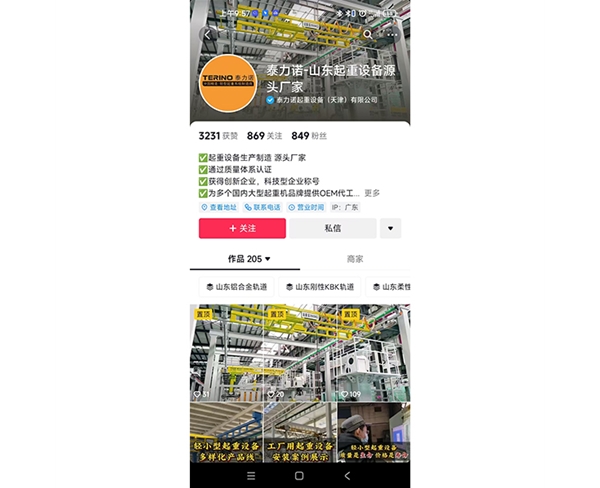 泰力诺